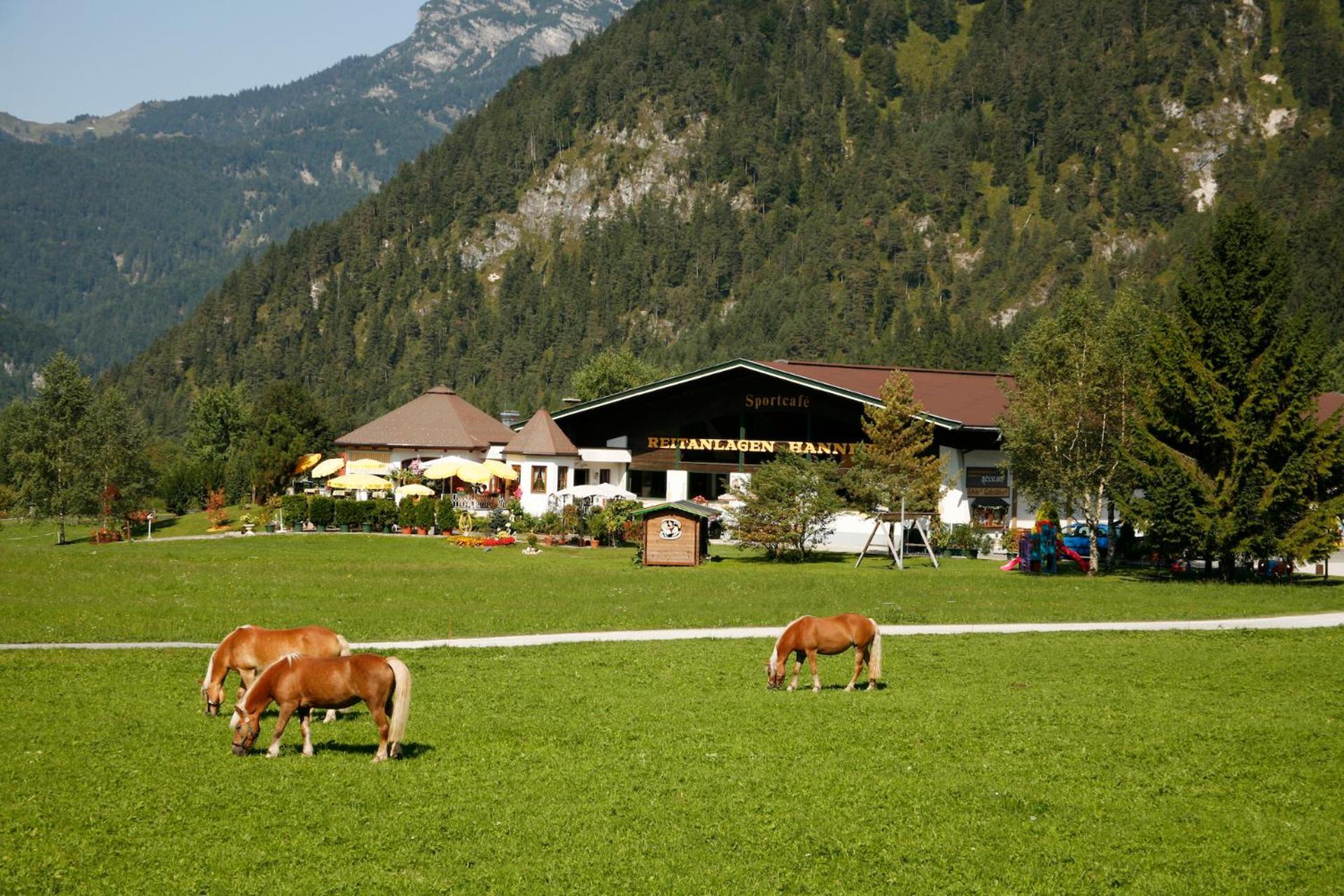 Gut Hanneshof Erpfendorf Exteriér fotografie