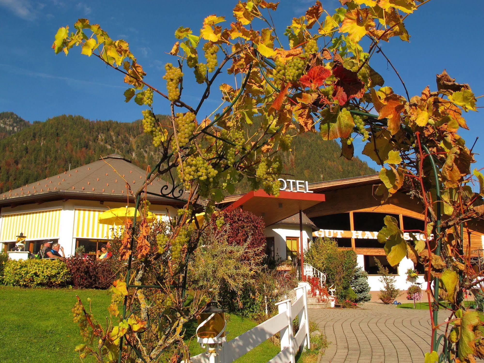 Gut Hanneshof Erpfendorf Exteriér fotografie